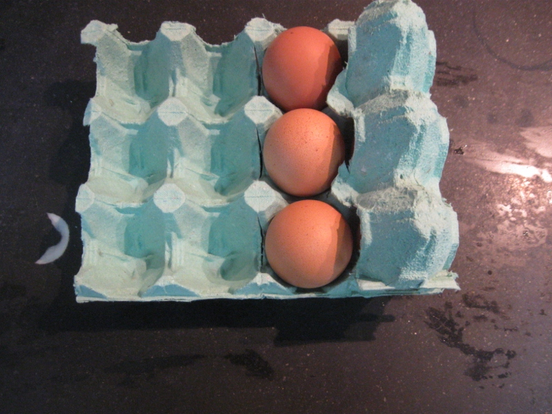 eggbox4 (800x600).jpg